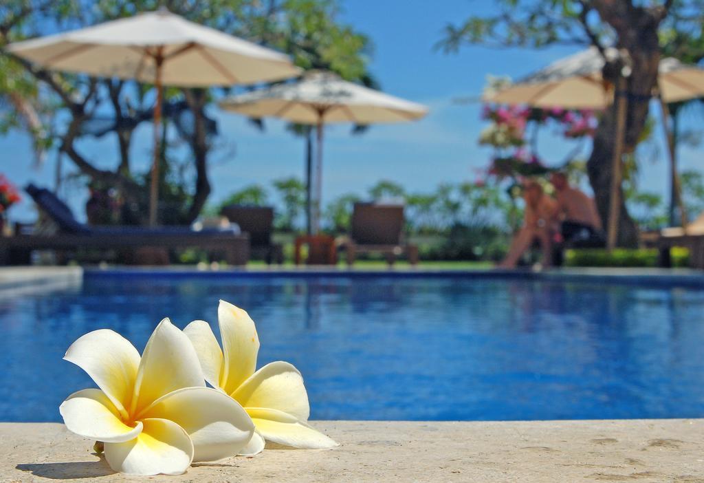 Frangipani Beach Hotel Lovina Екстериор снимка